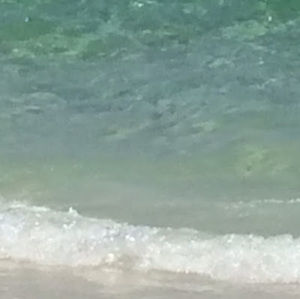 Meet your Posher, Nathan